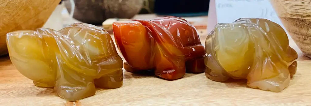 WhatsApp Image 2025-08-08 à 12.42.46_4276bd27.webp