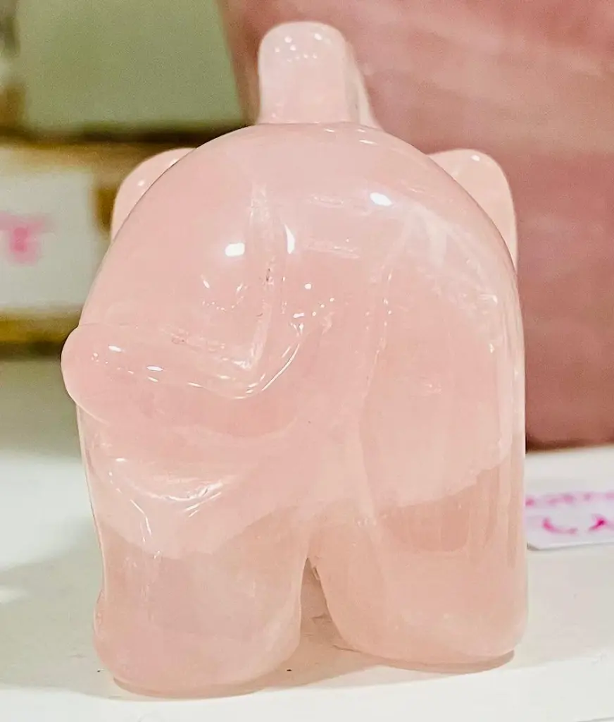 WhatsApp Image 2025-09-10 à 16.06.24_aa4f6576.webp