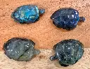 Tortue Labradorite