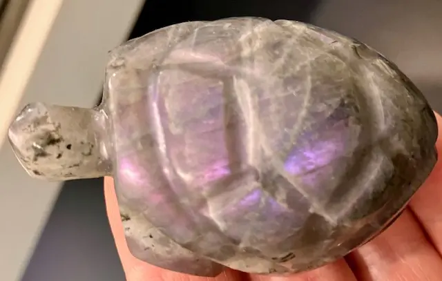 Tortue Labradorite Violette