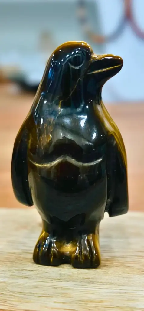 Pingouin en Œil de Tigre