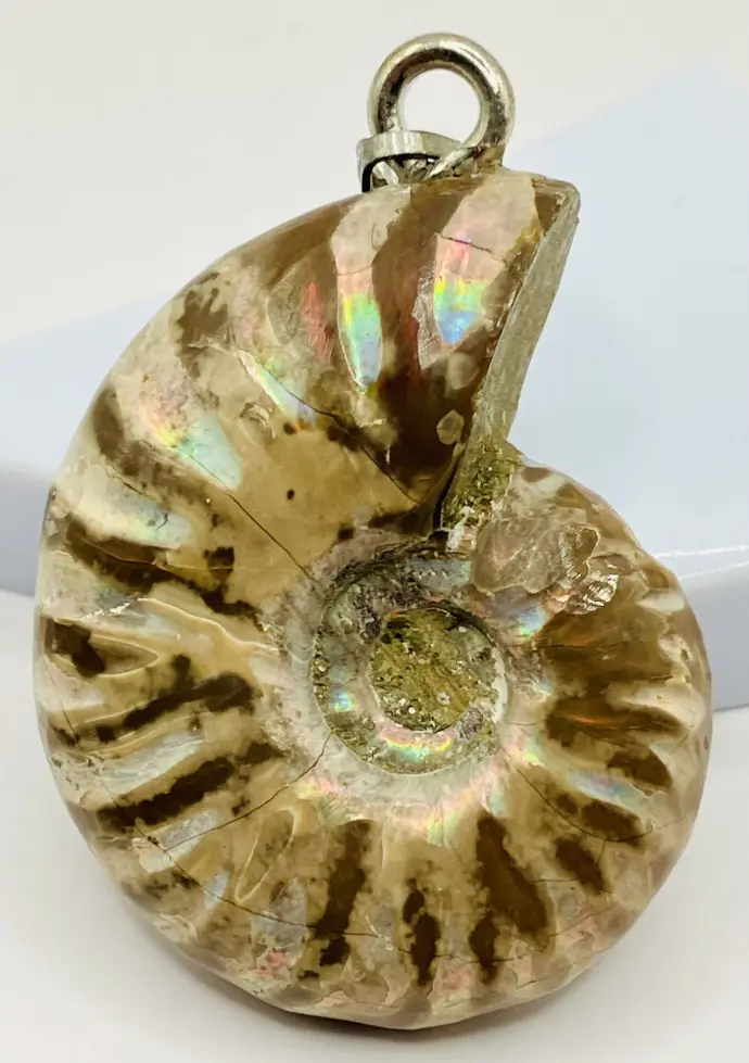 Pendentif Ammonite Opalisée