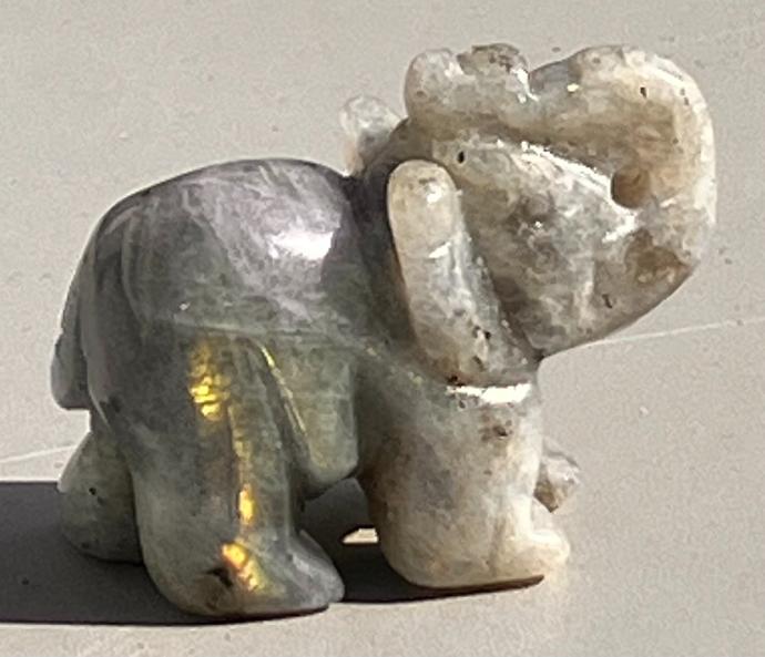 Eléphant Labradorite