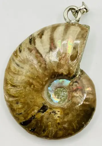 Pendentif Ammonite Opalisée