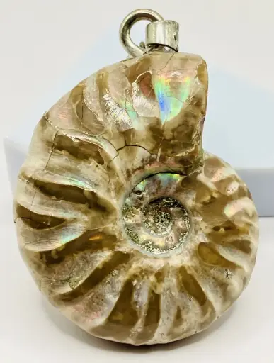 Pendentif Ammonite Opalisée